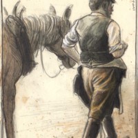 Farrier lead horse for shoeing