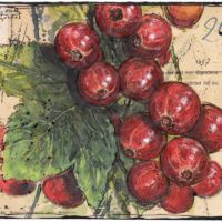 Johannis in Red