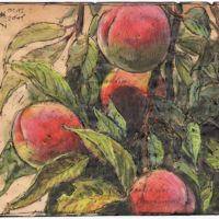 Peaches