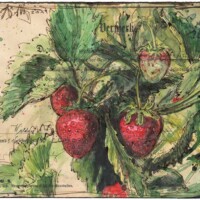 Strawberry fields forever