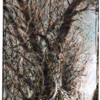 Winter in Fischerhude