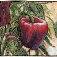 The confusion of a free-growing pepper