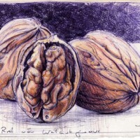 The final rest of walnut grove