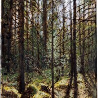 Small piece of forest