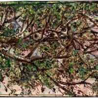 On a little strip of hope