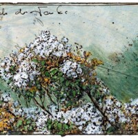 Inconspicuous near by the gas station Inconspicuous near by the gas station