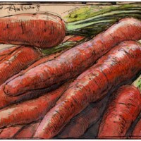 From guaranteed species-approriate husbandry