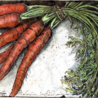 Carrots, intimately connected Carrots, intimately connected