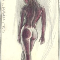 Back act in Semi Darknes (Red)